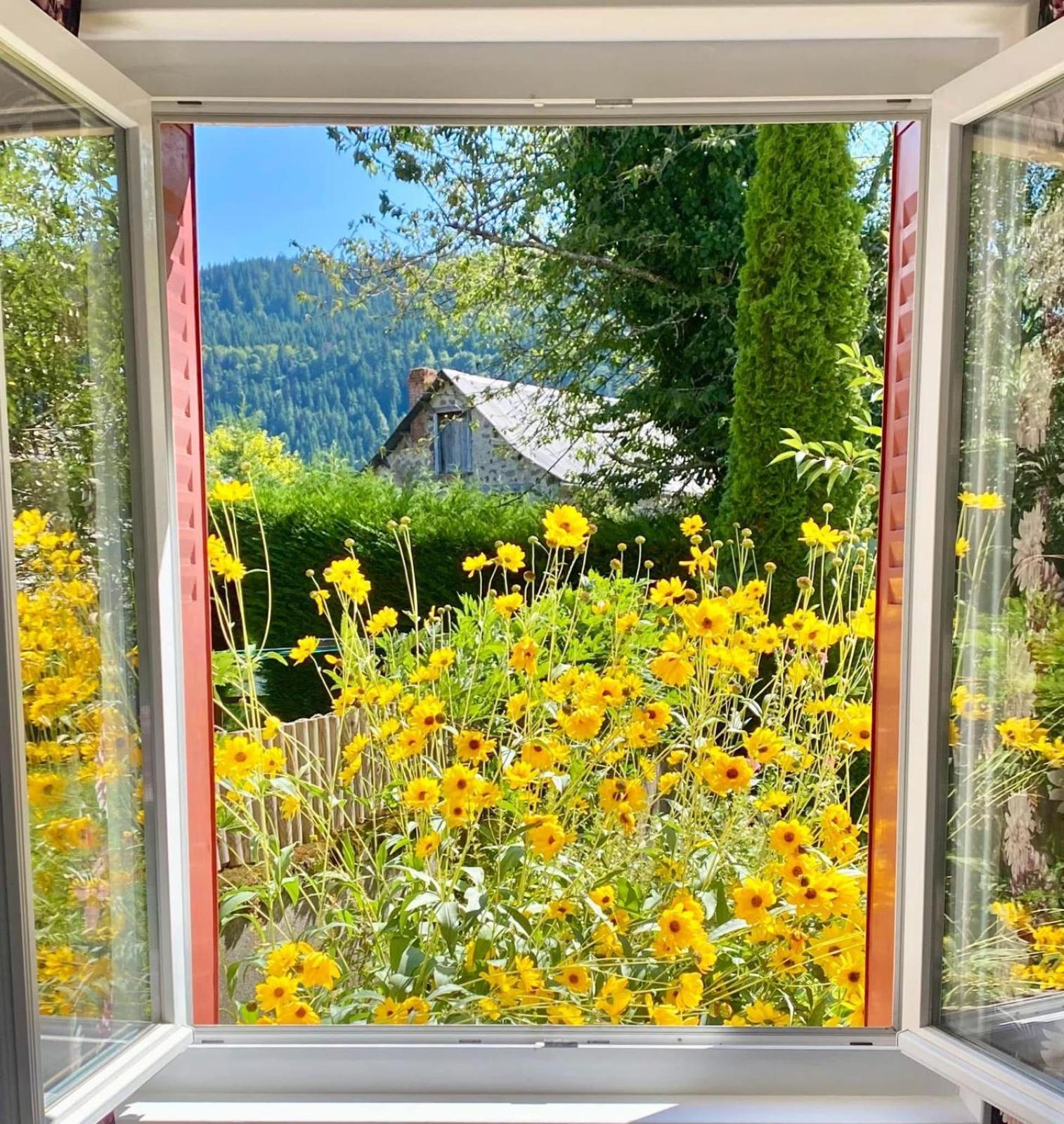 Hotel Restaurant Du Plomb Du Cantal Murat  Kültér fotó